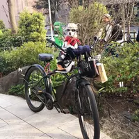 代官山 蔦屋書店(TSUTAYA)の写真・動画_image_128202
