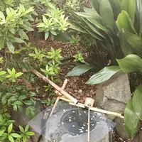 猿楽神社の写真・動画_image_128214