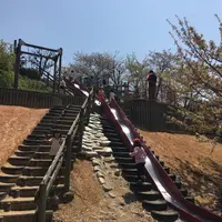 種松山公園西園地の写真・動画_image_128290