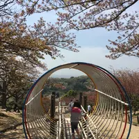 種松山公園西園地の写真・動画_image_128291