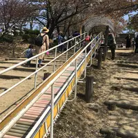 種松山公園西園地の写真・動画_image_128293