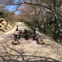 種松山公園西園地の写真・動画_image_128294