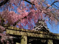 雨宝院の写真・動画_image_128328