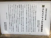 西浦エヒメアヤメ自生南限地帯の写真・動画_image_128375