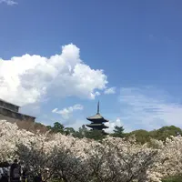 仁和寺の写真・動画_image_128450