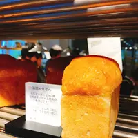 365日の写真・動画_image_128459