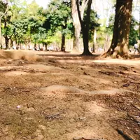 代々木公園の写真・動画_image_128479