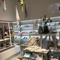 swimmie 銀座店の写真・動画_image_128554