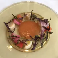Ristorante PEGASO リストランテ ペガソの写真・動画_image_128591