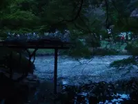 新宿御苑の写真・動画_image_128873