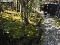山のホテル 夢想園の写真・動画_image_128940