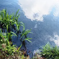 金鱗湖の写真・動画_image_128946