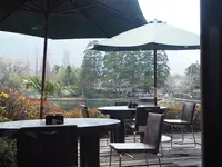 Cafe La Ruche （カフェ・ラ・リューシュ） 由布院シャガール美術館の写真・動画_image_128954
