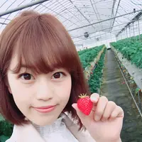 いちご狩り らいおん果実園の写真・動画_image_128977