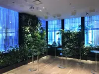 DMM.com 本社の写真・動画_image_128987