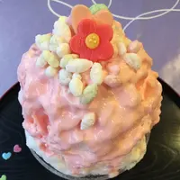 雪うさぎの写真・動画_image_129203
