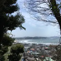 長谷寺の写真・動画_image_129219