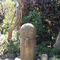 長谷寺の写真・動画_image_129220