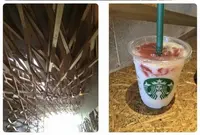 スターバックスコーヒー 太宰府天満宮表参道店（STARBUCKS COFFEE）の写真・動画_image_129228