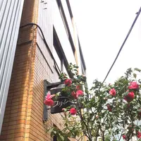 カフェ・デ・プリマベーラの写真・動画_image_129310