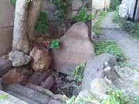 雲林院の写真・動画_image_129662