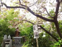 引接寺（ 千本ゑんま堂）の写真・動画_image_129689
