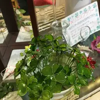 （有）あかがわ生花店 本店の写真・動画_image_129828