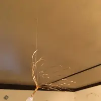 ギャラリー犬養の写真・動画_image_129842