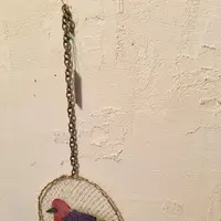 ギャラリー犬養の写真・動画_image_129844