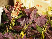 近江町市場の写真・動画_image_130204