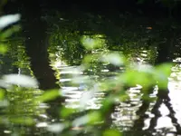 尾山神社の写真・動画_image_130206