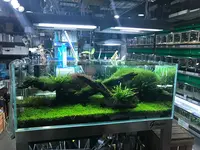 アクアリウムショップ GINSUIの写真・動画_image_130290