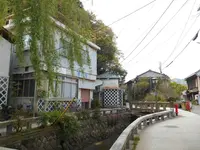ペリーロードの写真・動画_image_130409