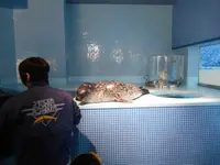 下田海中水族館の写真・動画_image_130415