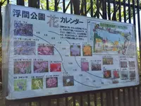 都立浮間公園の写真・動画_image_130424