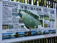 都立浮間公園の写真・動画_image_130425