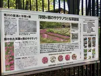 都立浮間公園の写真・動画_image_130426