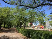 都立浮間公園の写真・動画_image_130431