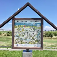 新荒川大橋野球場の写真・動画_image_130442