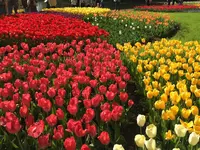 昭和記念公園 渓流広場の写真・動画_image_130452