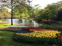 昭和記念公園 渓流広場の写真・動画_image_130454