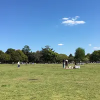 昭和記念公園 みんなの原っぱの写真・動画_image_130456