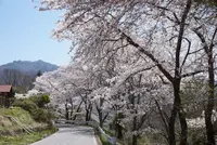 野倉の夫婦道祖神の写真・動画_image_130584