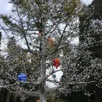 箱根ガラスの森美術館の写真・動画_image_130653