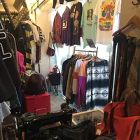 メイズの写真・動画_image_130858