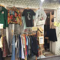 メイズの写真・動画_image_130859