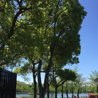 都立浮間公園の写真・動画_image_131012