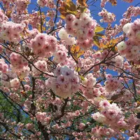 都立浮間公園の写真・動画_image_131013