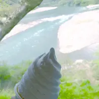 高知アイス売店の写真・動画_image_131018