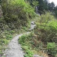 にこ淵の写真・動画_image_131024